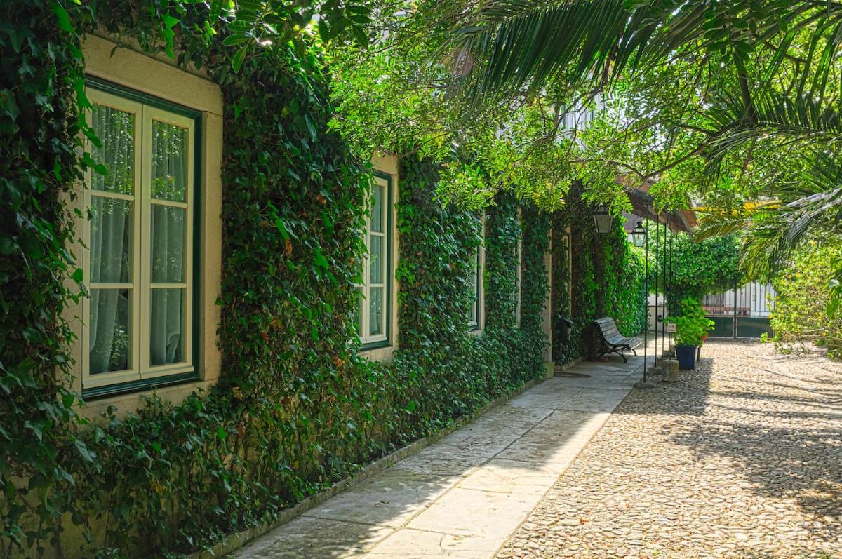 Casa Do Foral ξενώνας Rio Maior Εξωτερικό φωτογραφία